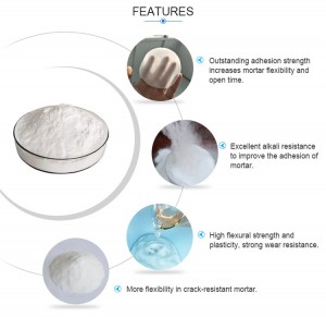 Wholesale OEM/ODM China EVA Redispersible Polymer Powder Factory Price